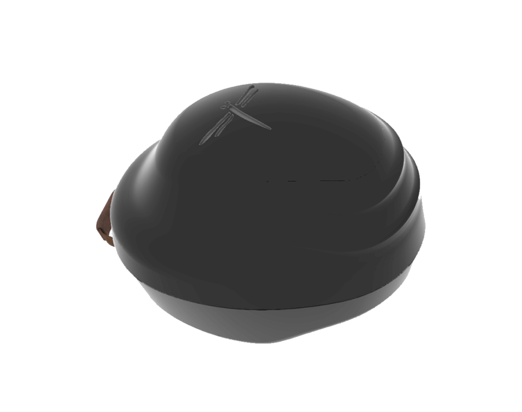Helmet case