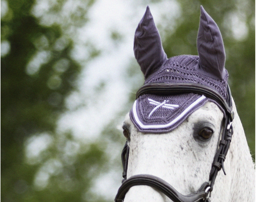 Outlet : bonnet cheval