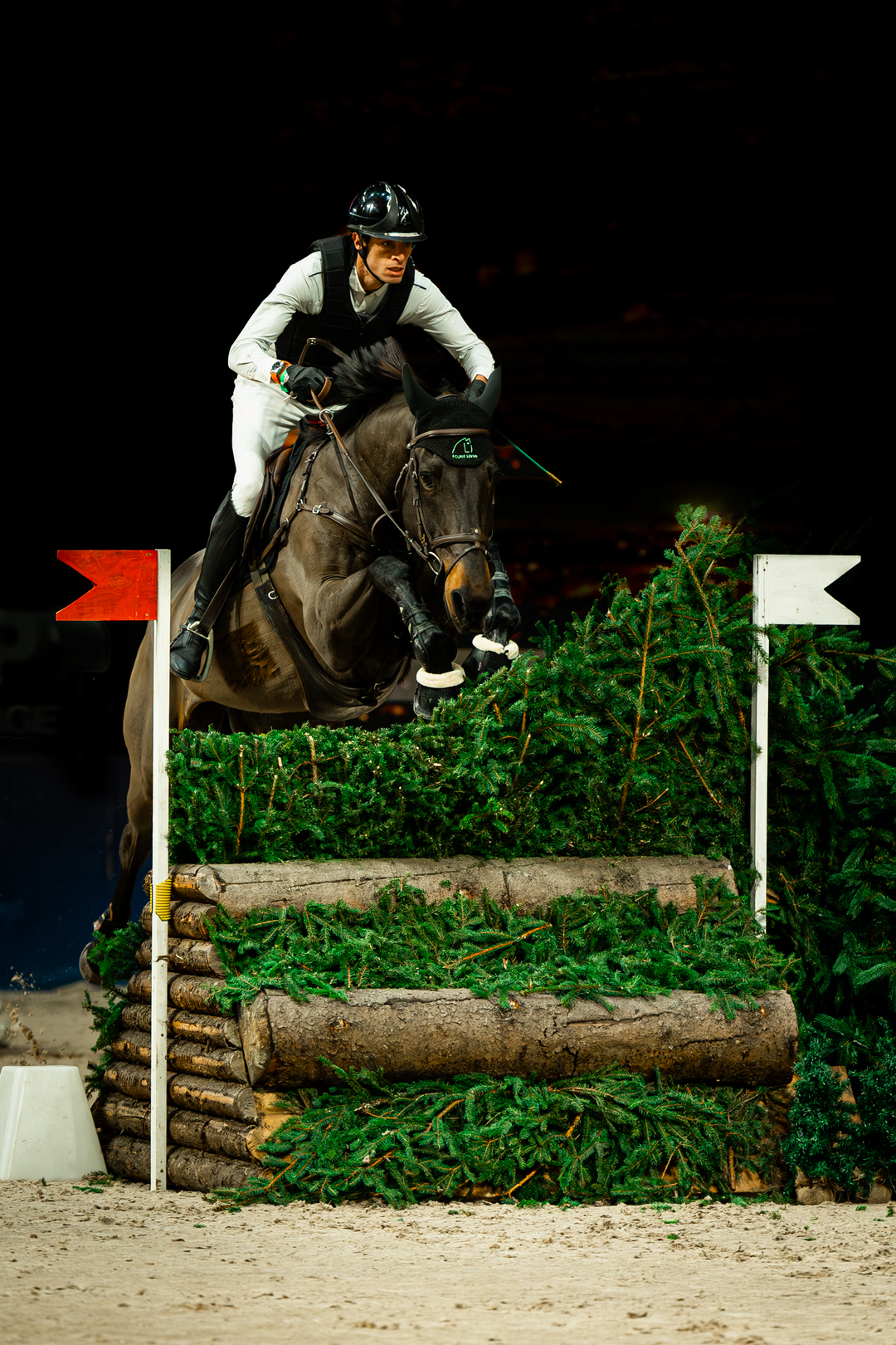 ambassadeurs