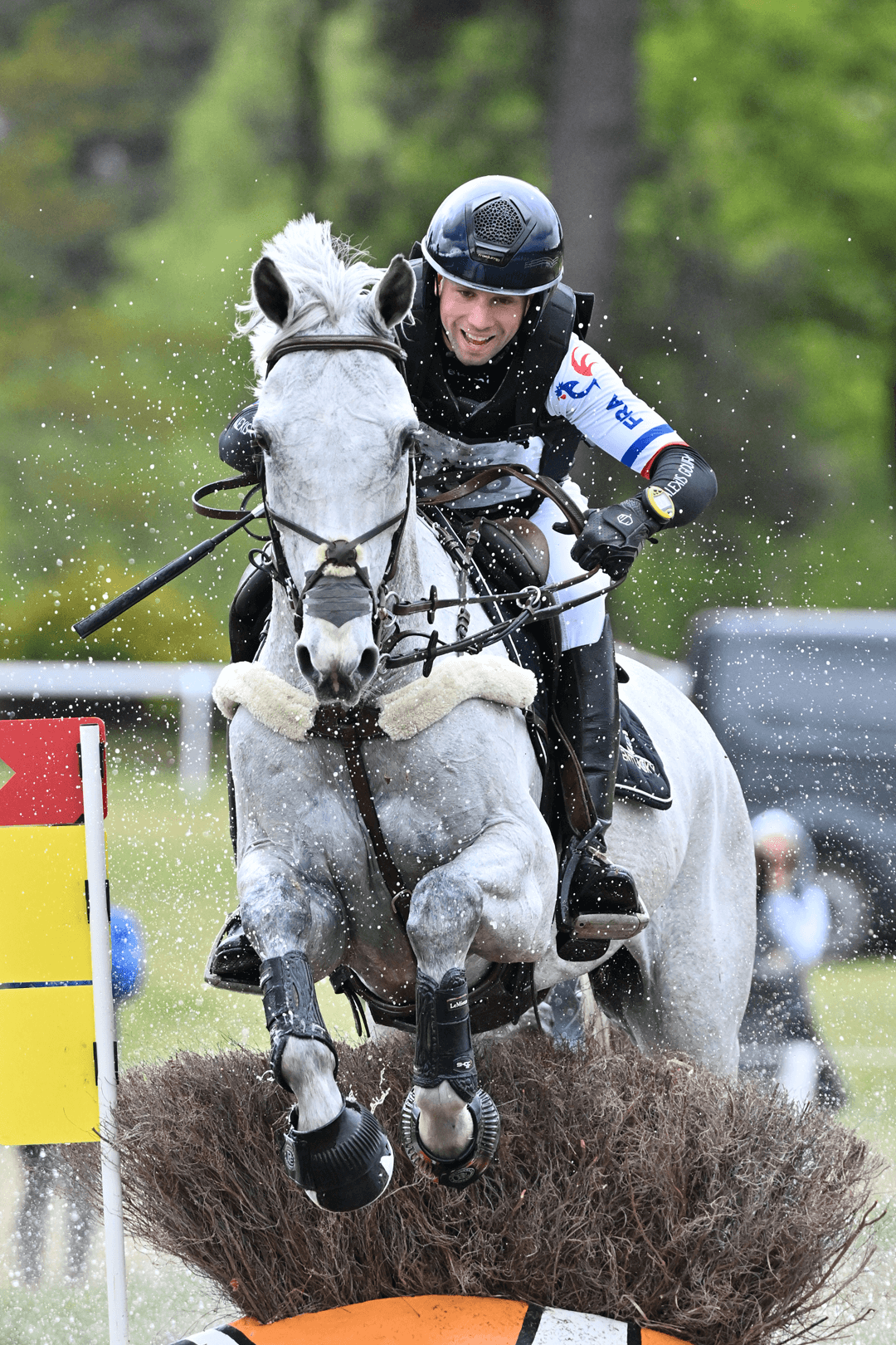ambassadeurs