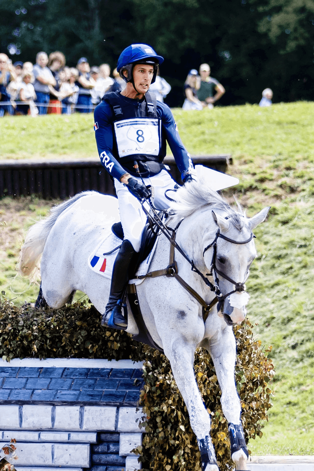 ambassadeurs