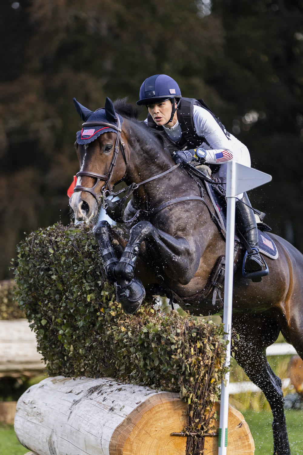 Ambassadeurs